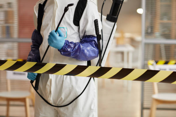 Professional Odor Removal technician working in Trufant, MI