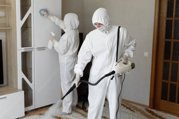 24/7 Emergency Odor Removal experts in Trufant, MI